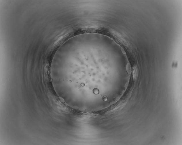 X0000092261059200709141205