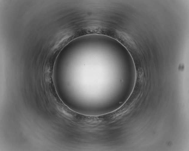 X0000092261060200709141205