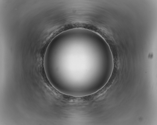X0000092261061200709141205