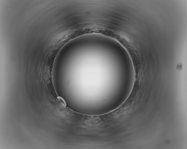 X0000092261062200709141205