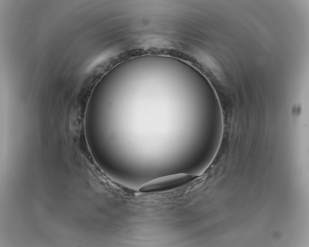 X0000092261063200709141205