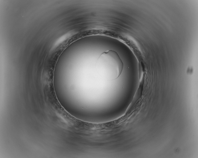 X0000092261064200709141205