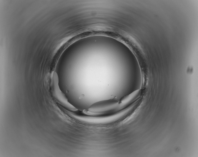 X0000092261065200709141205
