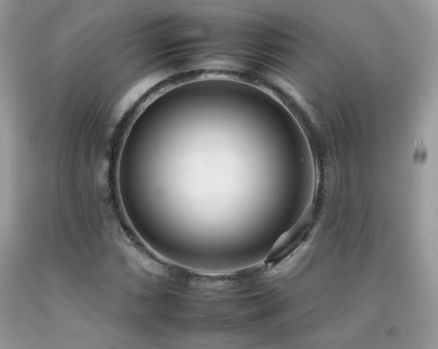 X0000092261066200709141205