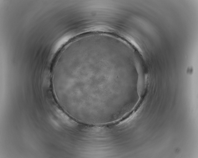 X0000092261067200709141205