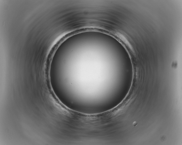 X0000092261068200709141205