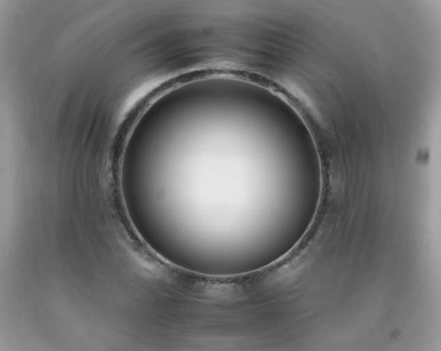 X0000092261070200709141205