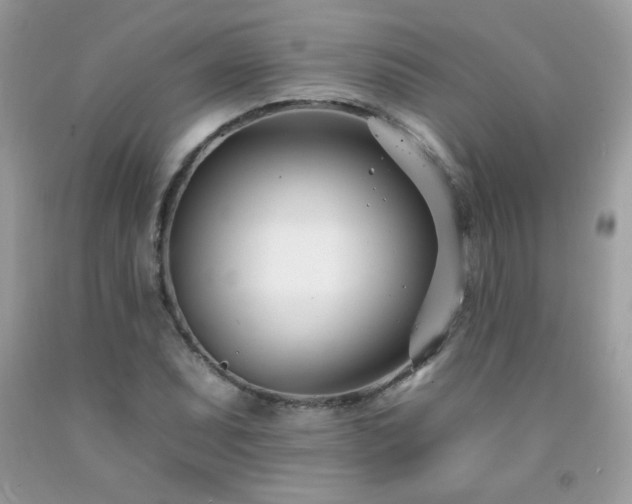 X0000092261071200709141204
