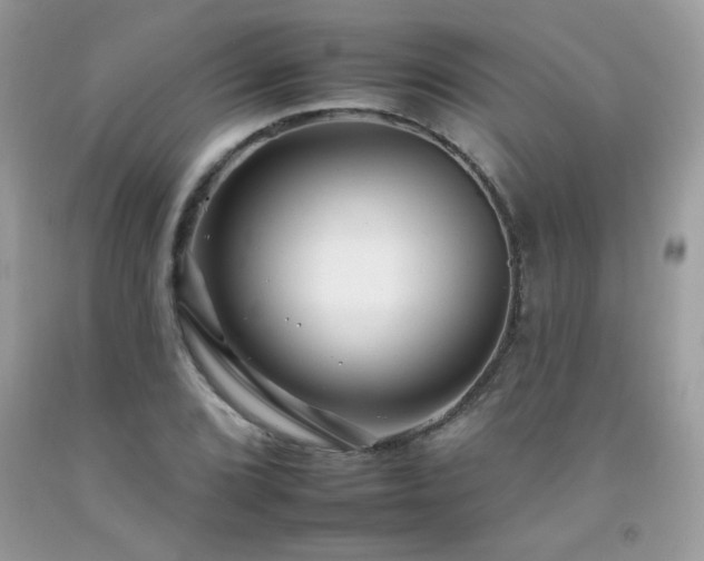 X0000092261072200709141204