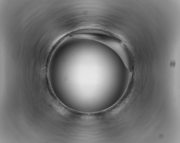 X0000092261073200709141204