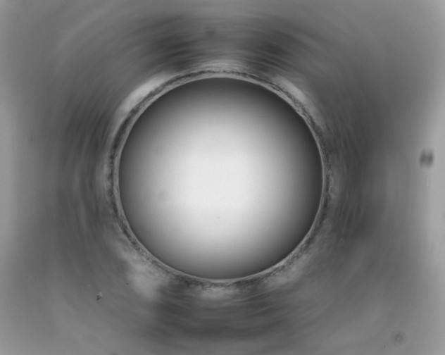 X0000092261074200709141204