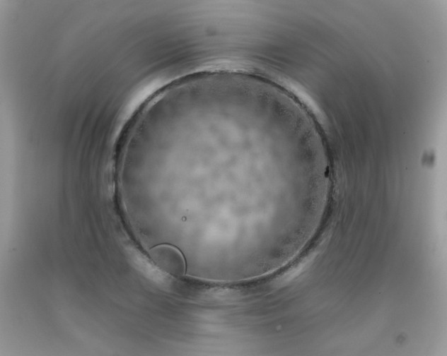 X0000092261075200709141204