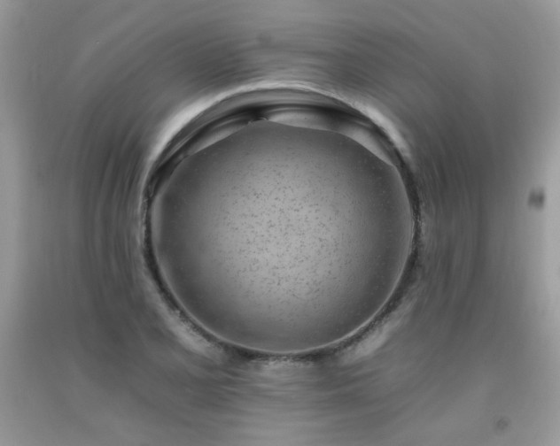 X0000092261077200709141204