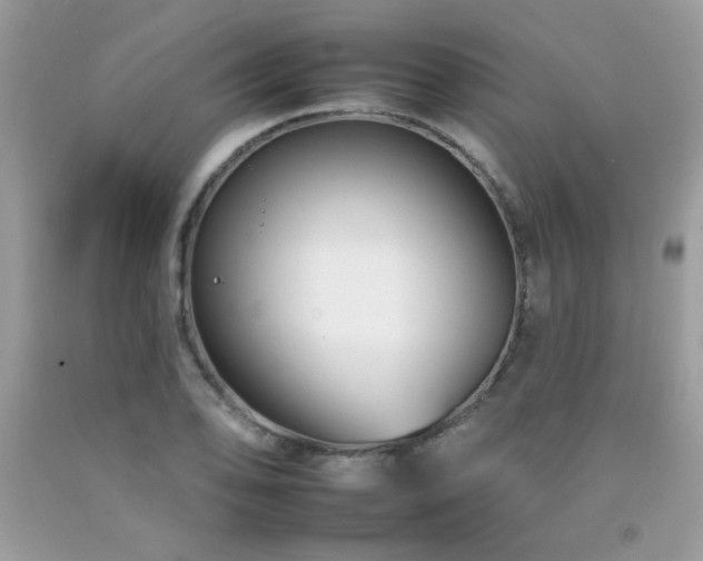 X0000092261078200709141204