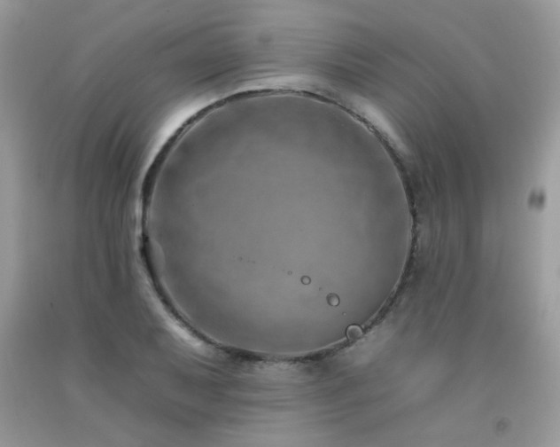 X0000092261079200709141204