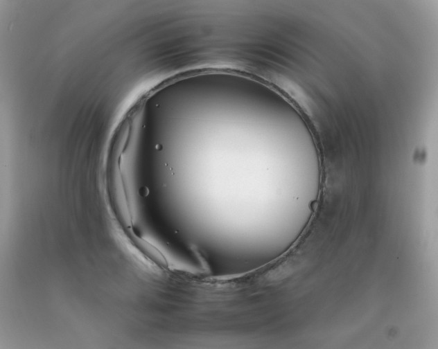 X0000092261080200709141204