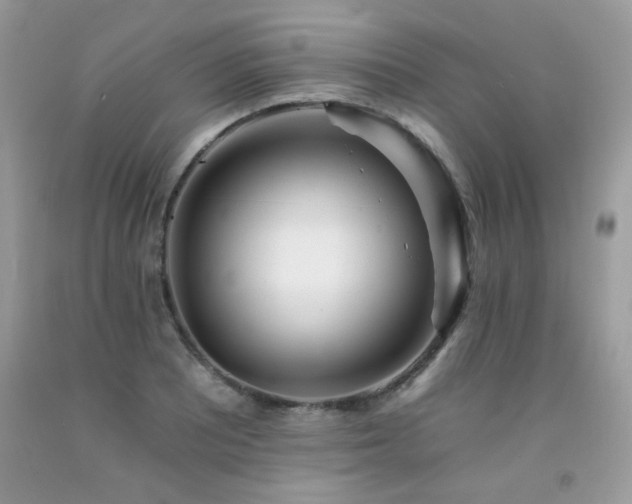 X0000092261081200709141204