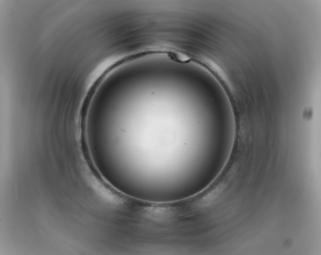 X0000092261082200709141204