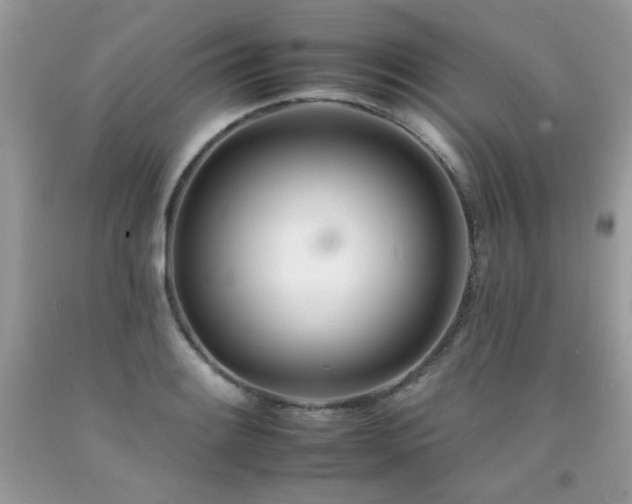 X0000092261084200709141204