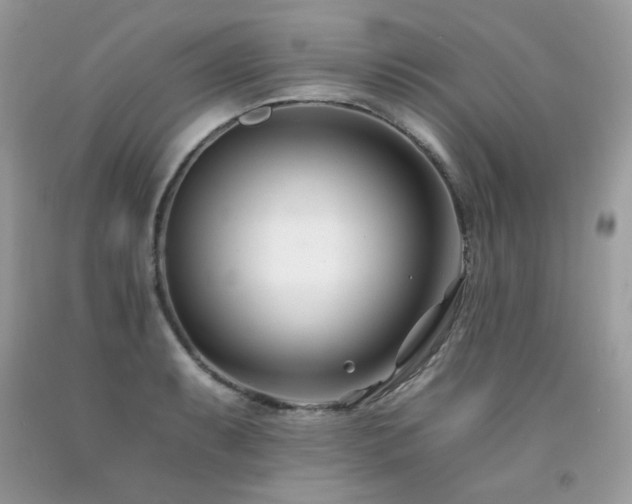 X0000092261087200709141204