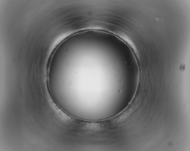 X0000092261088200709141204