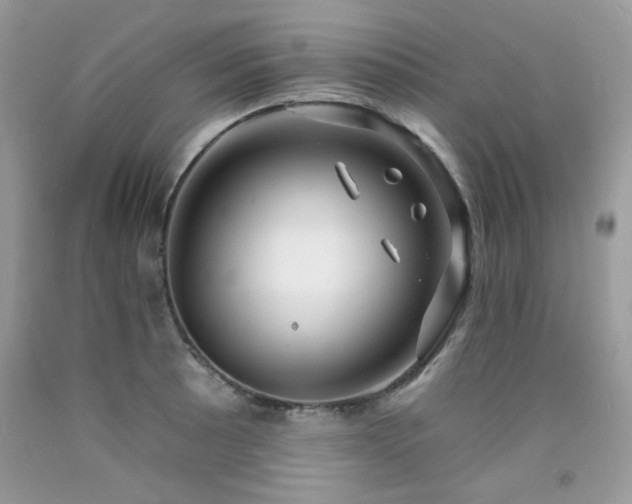 X0000092261089200709141204