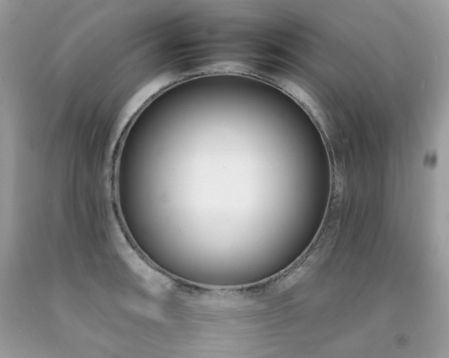 X0000092261090200709141204