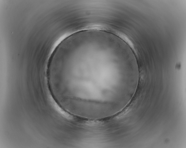 X0000092261091200709141204