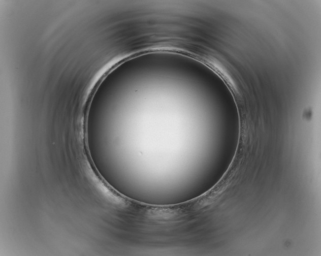 X0000092261092200709141204