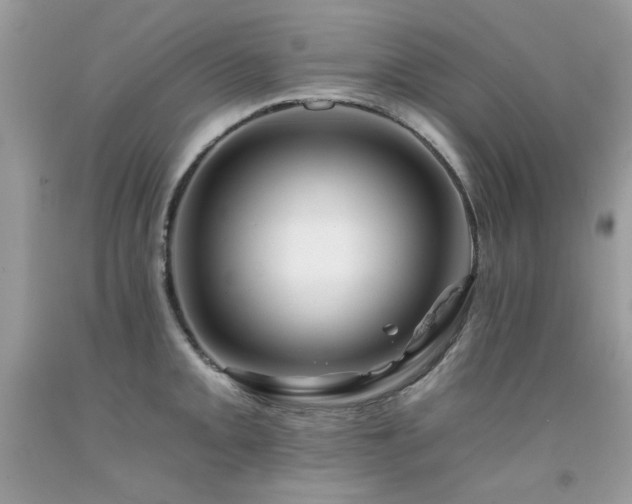 X0000092261093200709141204