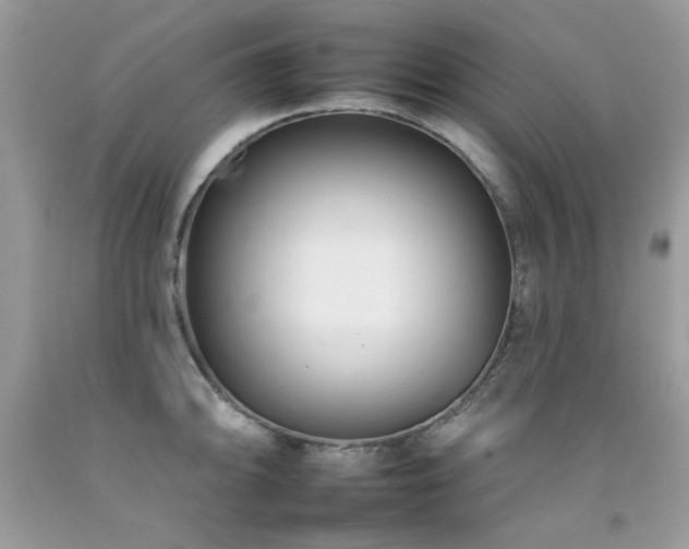X0000092261094200709141204