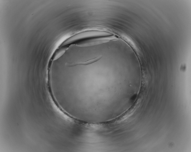 X0000092261095200709141204