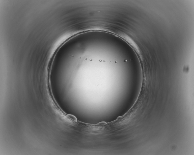 X0000092261096200709141204