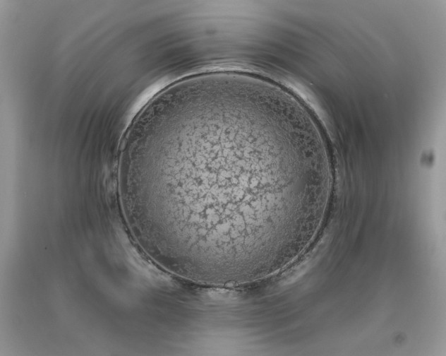 X0000092261097200709141204
