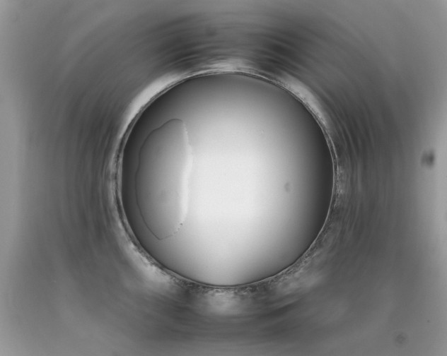 X0000092261098200709141204