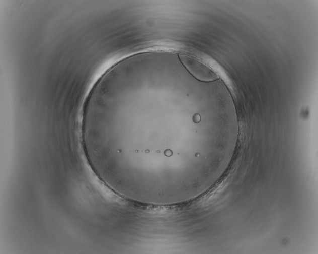 X0000092261099200709141204