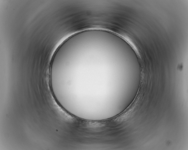 X0000092261100200709141204