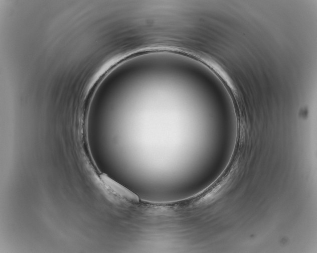 X0000092261101200709141204