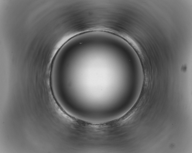 X0000092261102200709141204