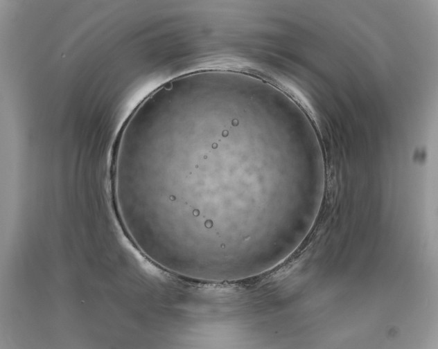 X0000092261103200709141204