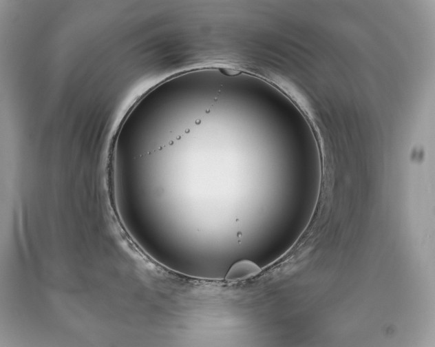 X0000092261104200709141204