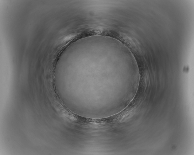 X0000092261105200709141203