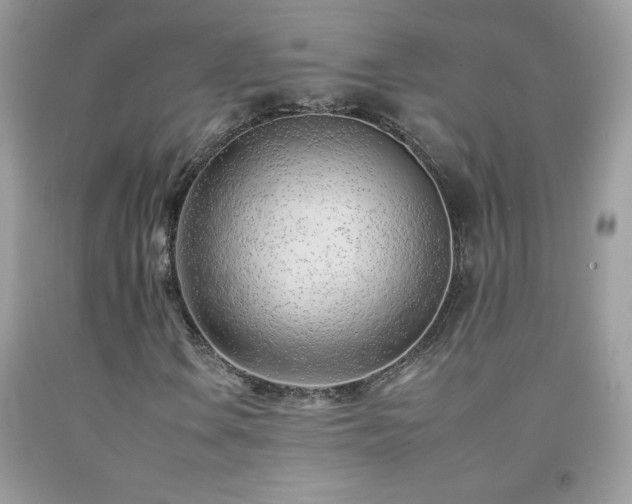 X0000092261106200709141203