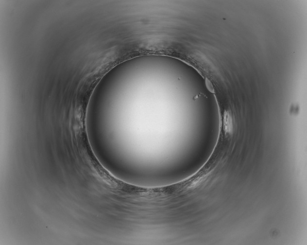 X0000092261107200709141203