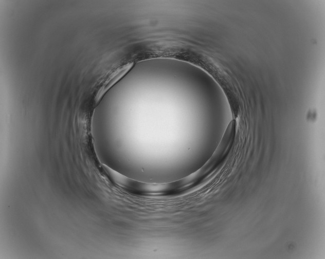 X0000092261108200709141203