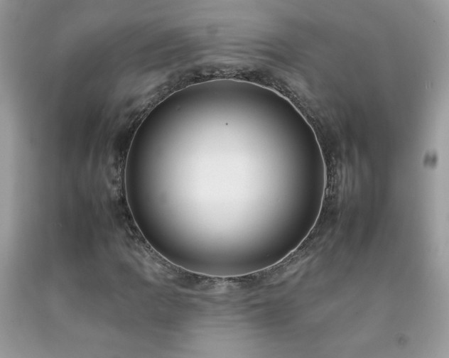 X0000092261109200709141203