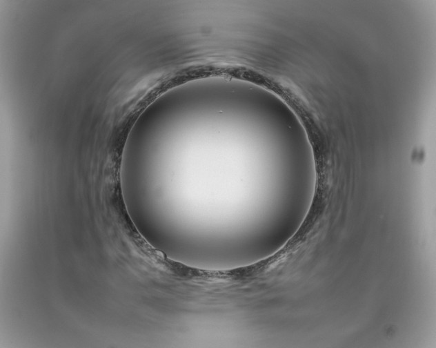 X0000092261110200709141203