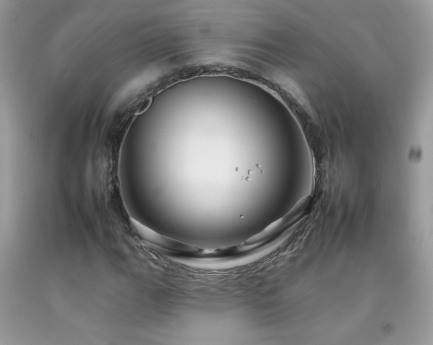 X0000092261111200709141203
