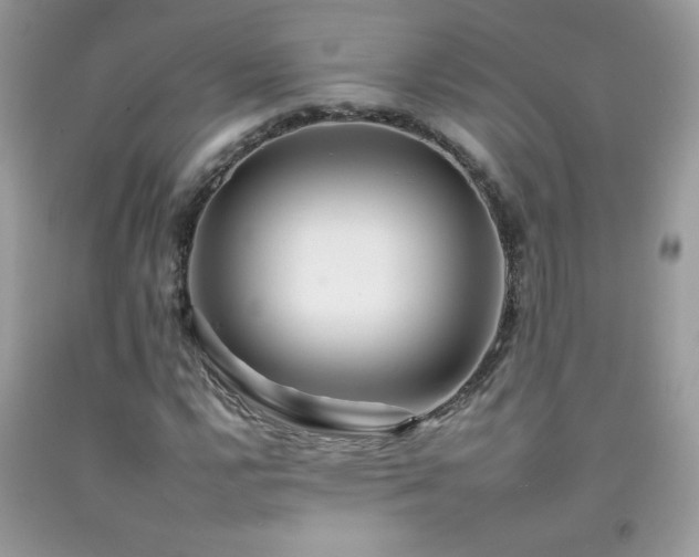 X0000092261112200709141203
