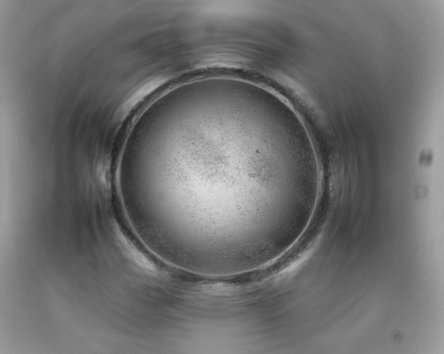 X0000092261113200709141203